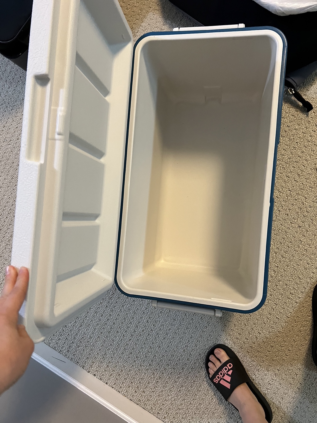 Coleman Cooler 45 L Brand New - photo 2