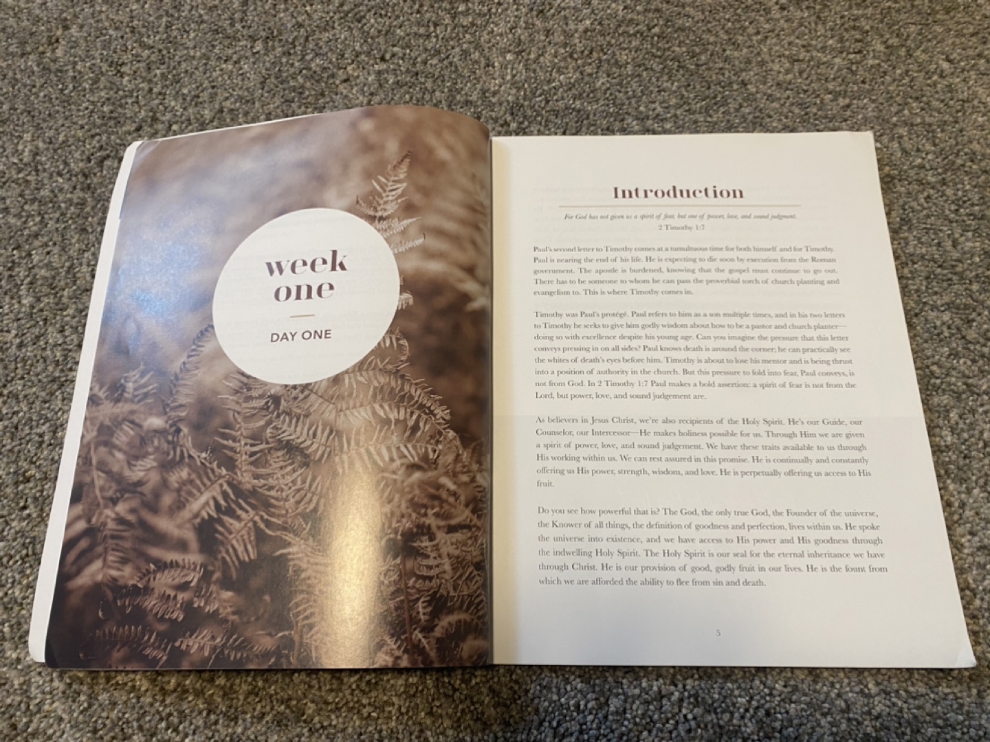 “It Is Well” Anxiety Bible Study - photo 2