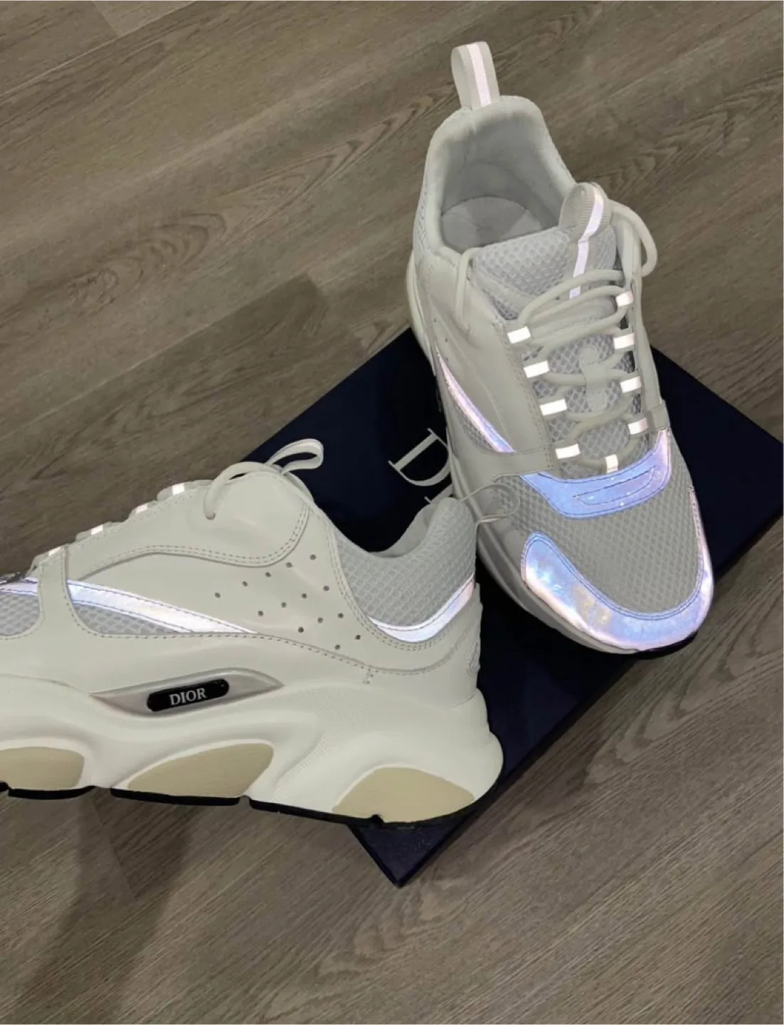 Dior B22 image indicator(2)