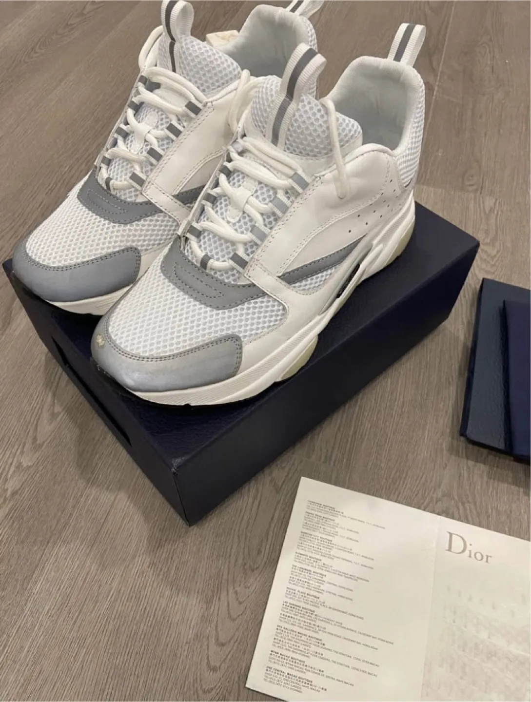 Dior B22 image indicator(3)