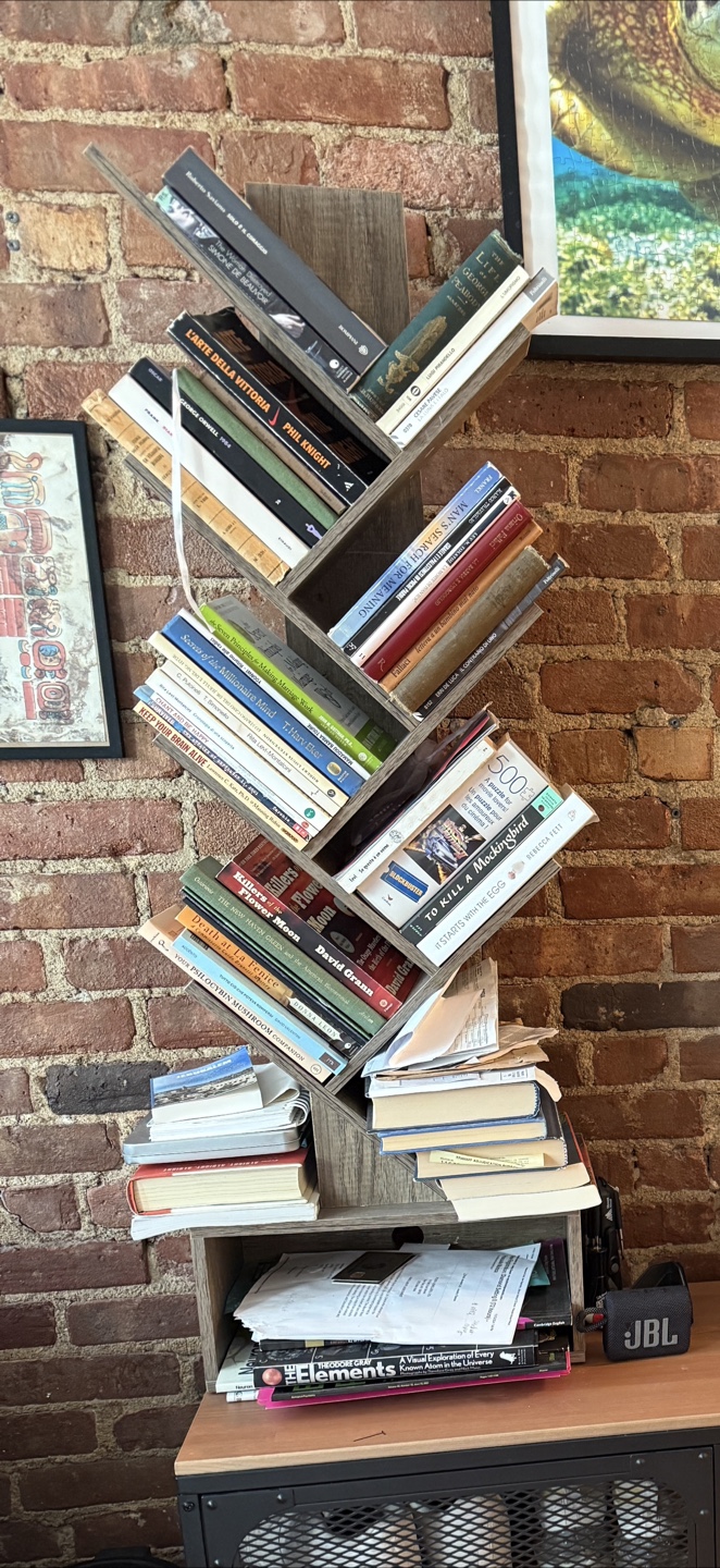 Wooden Tree Bookshelf