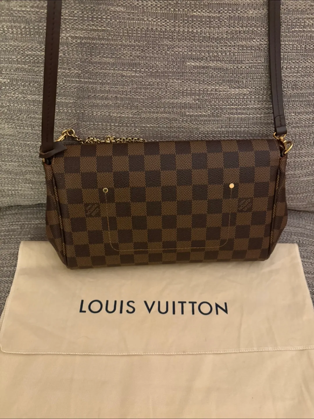 Louis Vuitton Damier Ebene Favorite MM Pochette image indicator(4)