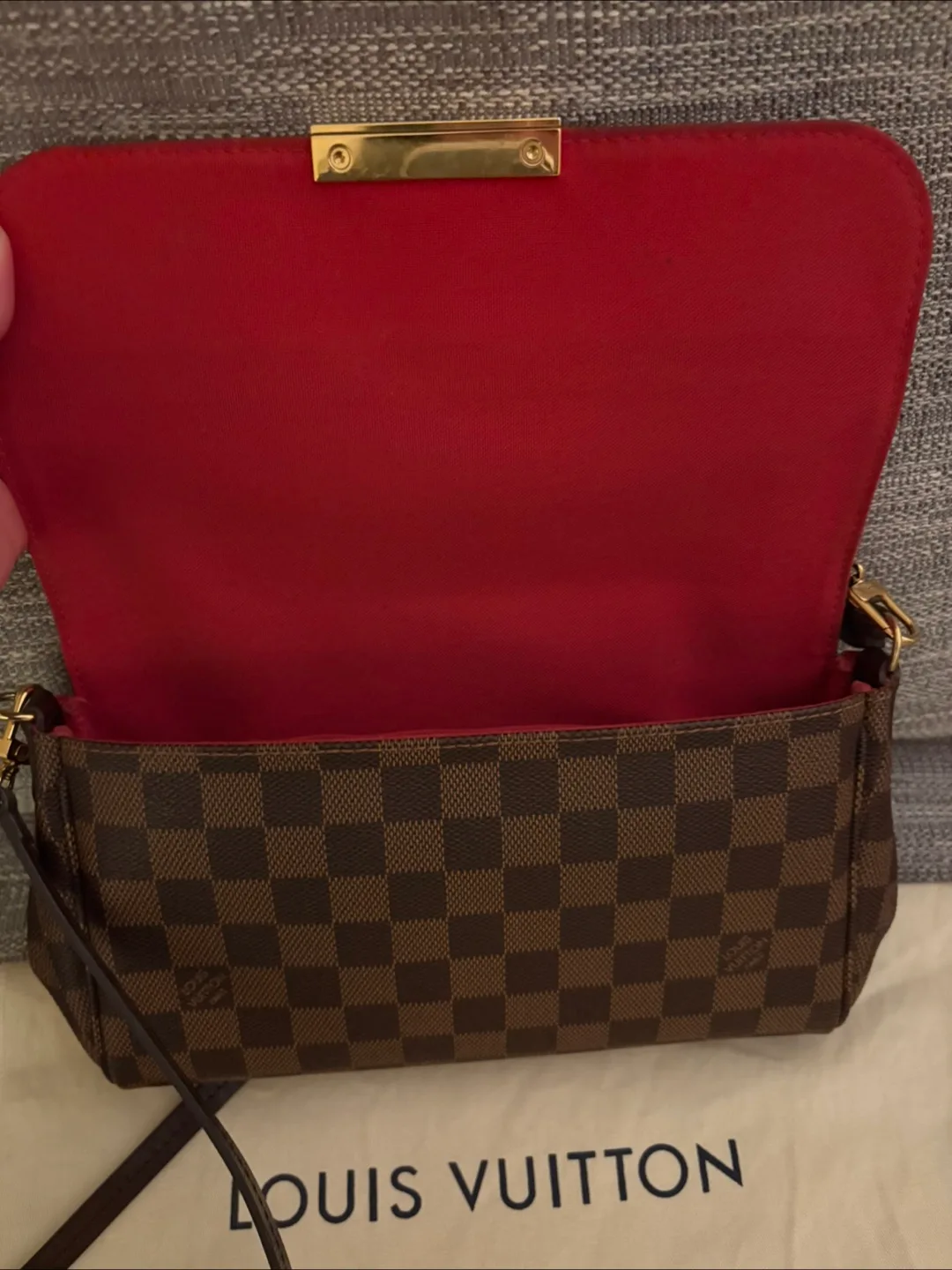 Louis Vuitton Damier Ebene Favorite MM Pochette image indicator(5)