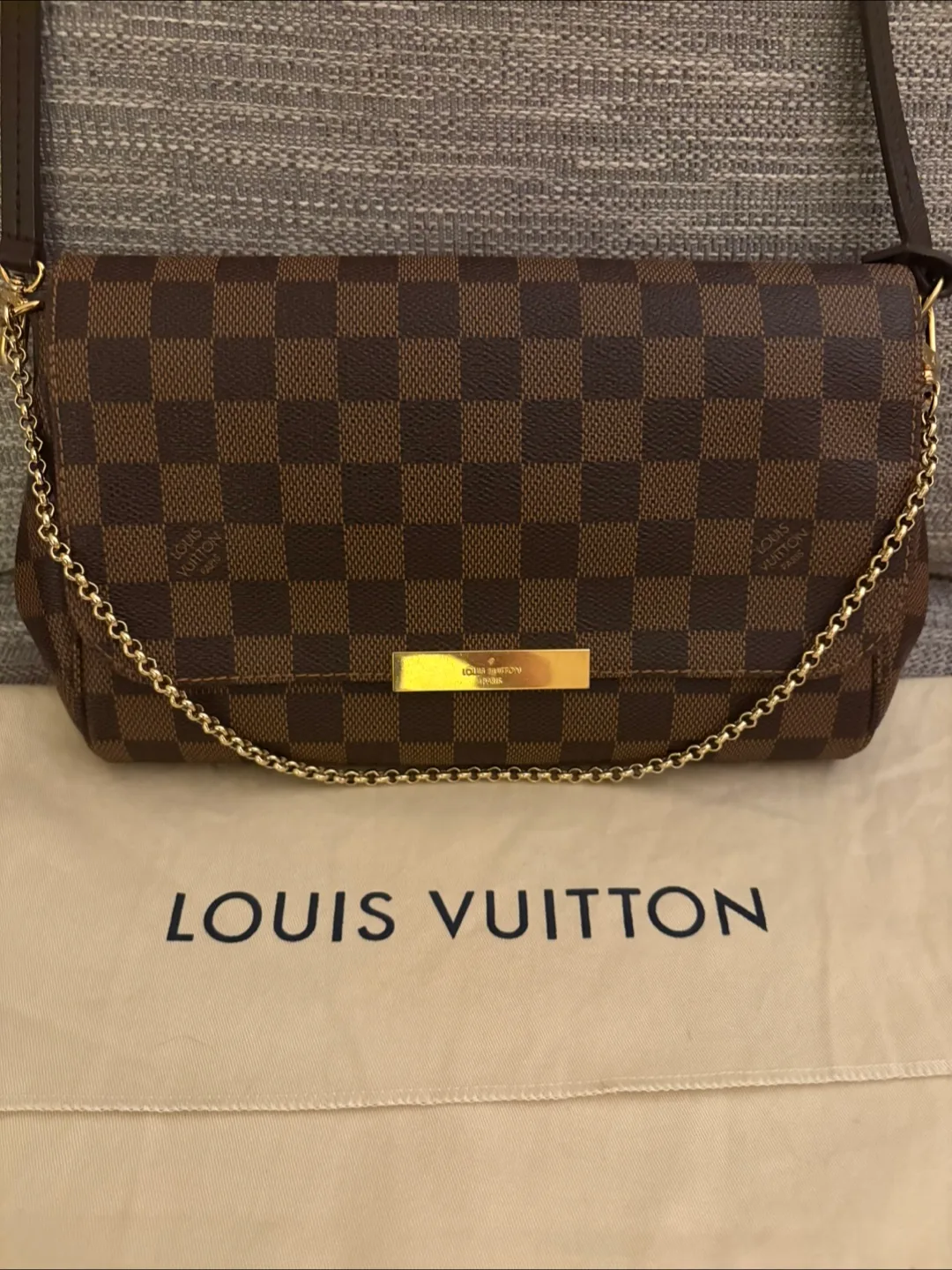 Louis Vuitton Damier Ebene Favorite MM Pochette image indicator(3)