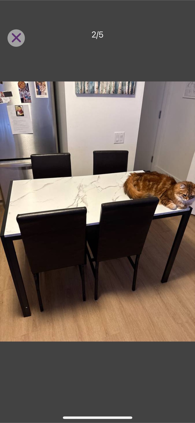 Dining Table Set - photo 2