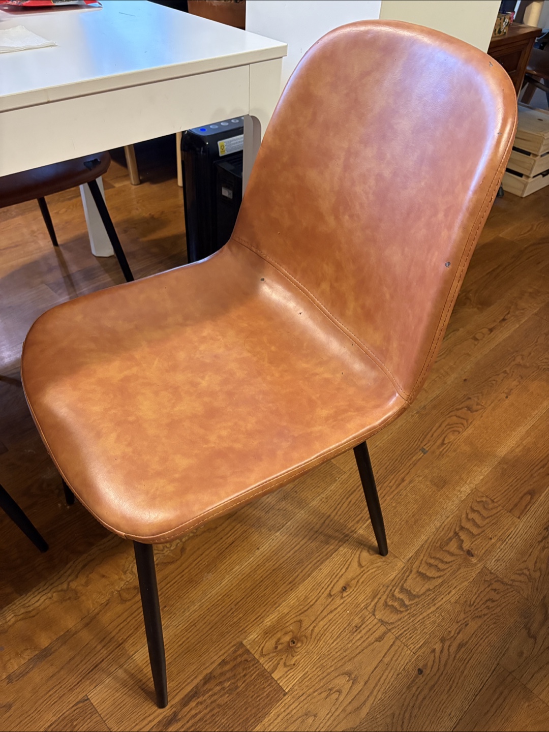 Modern Dining Chairs