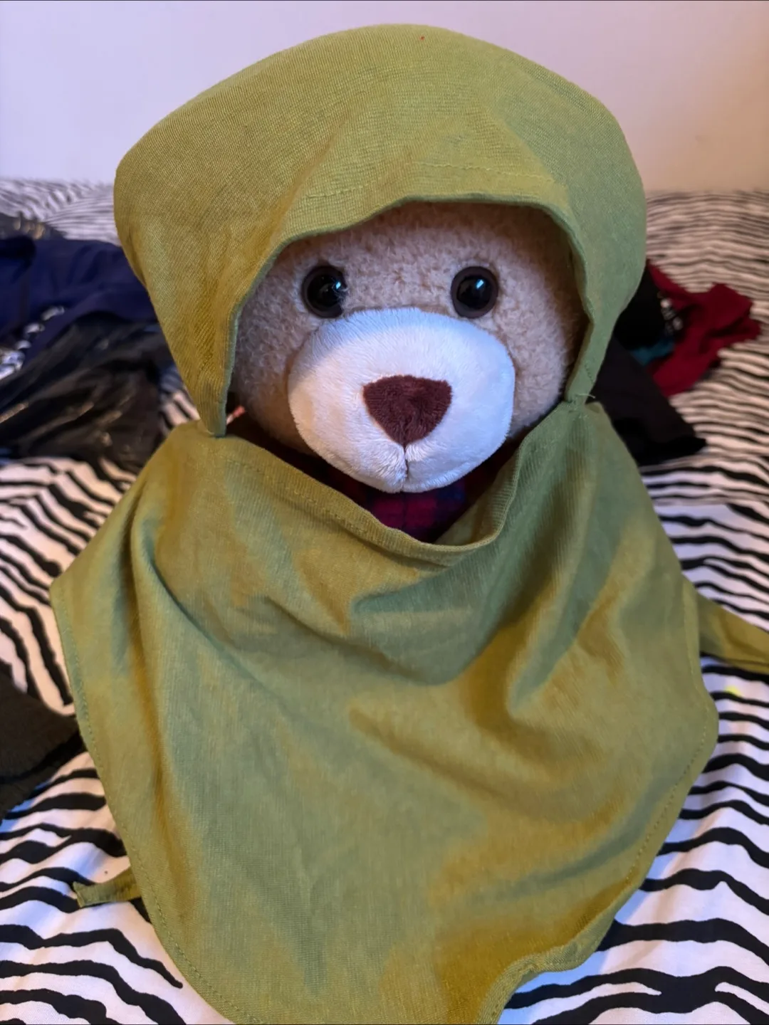 Teddy Bear and Fashion Items Bundle image indicator(5)