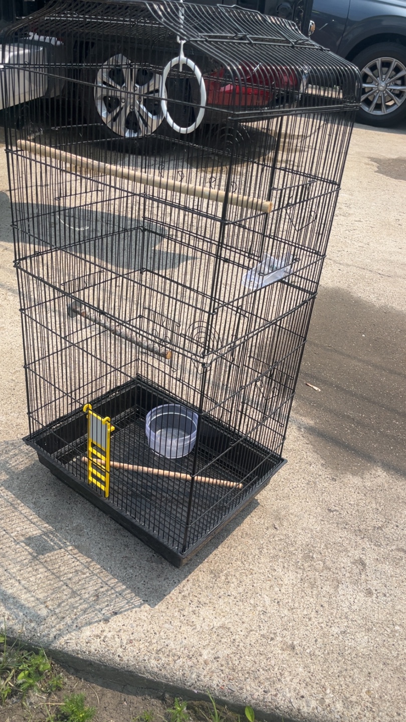 Bird cage