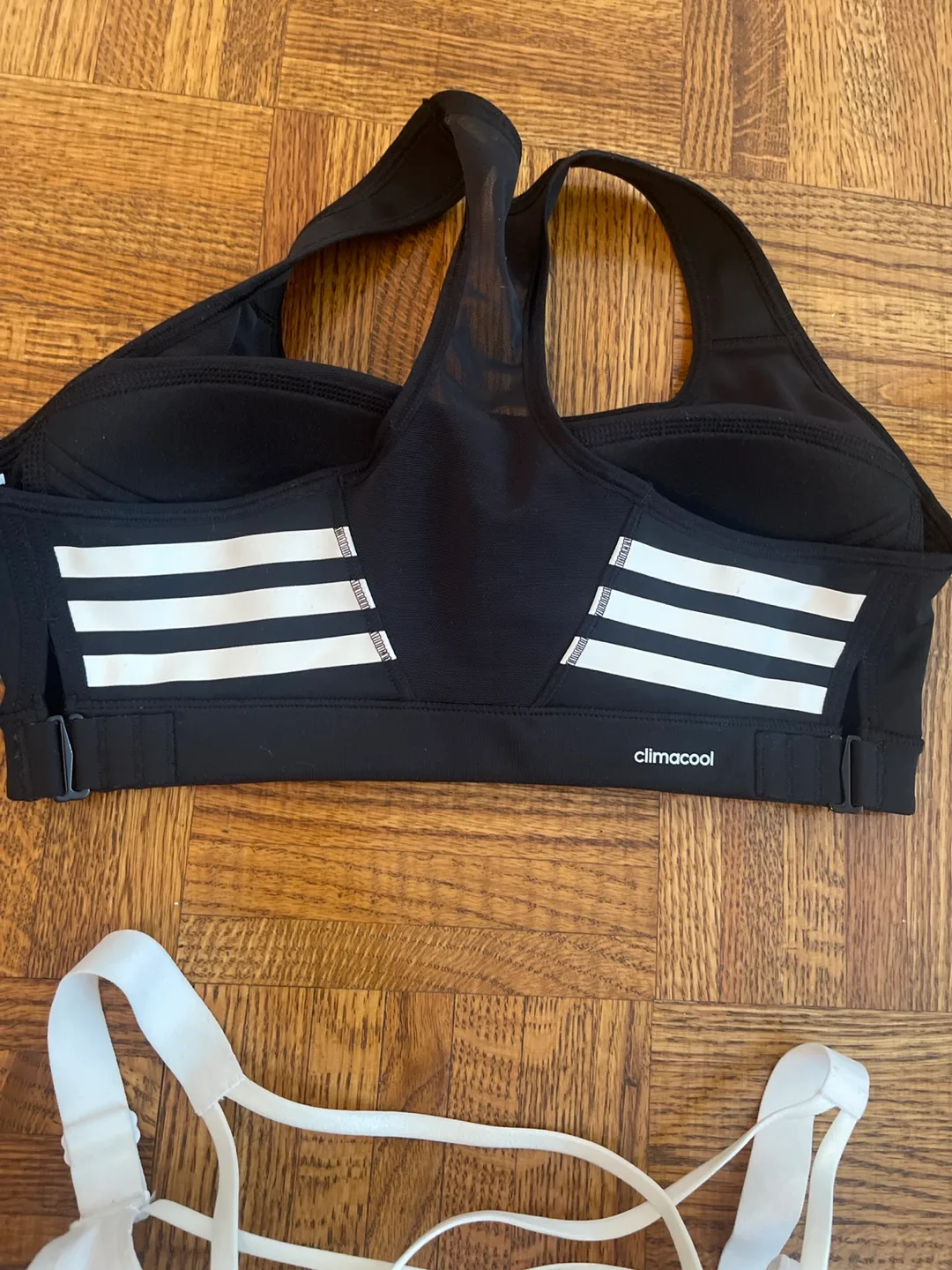 Variety of Sports Bras image indicator(4)