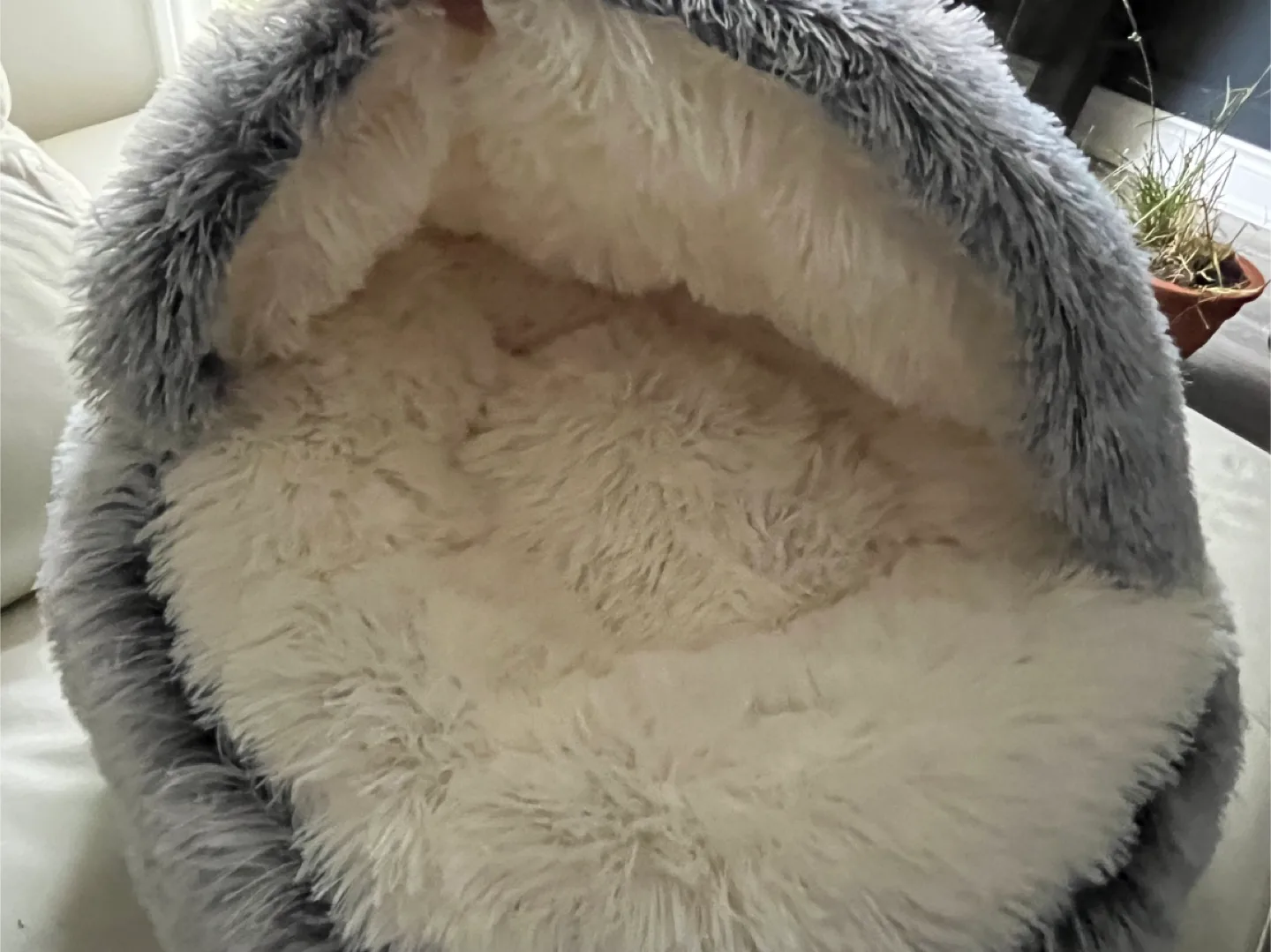Indoor fluffy kitten puppy bed image indicator(3)