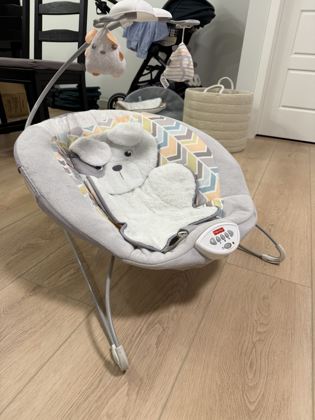 Baby Bouncer