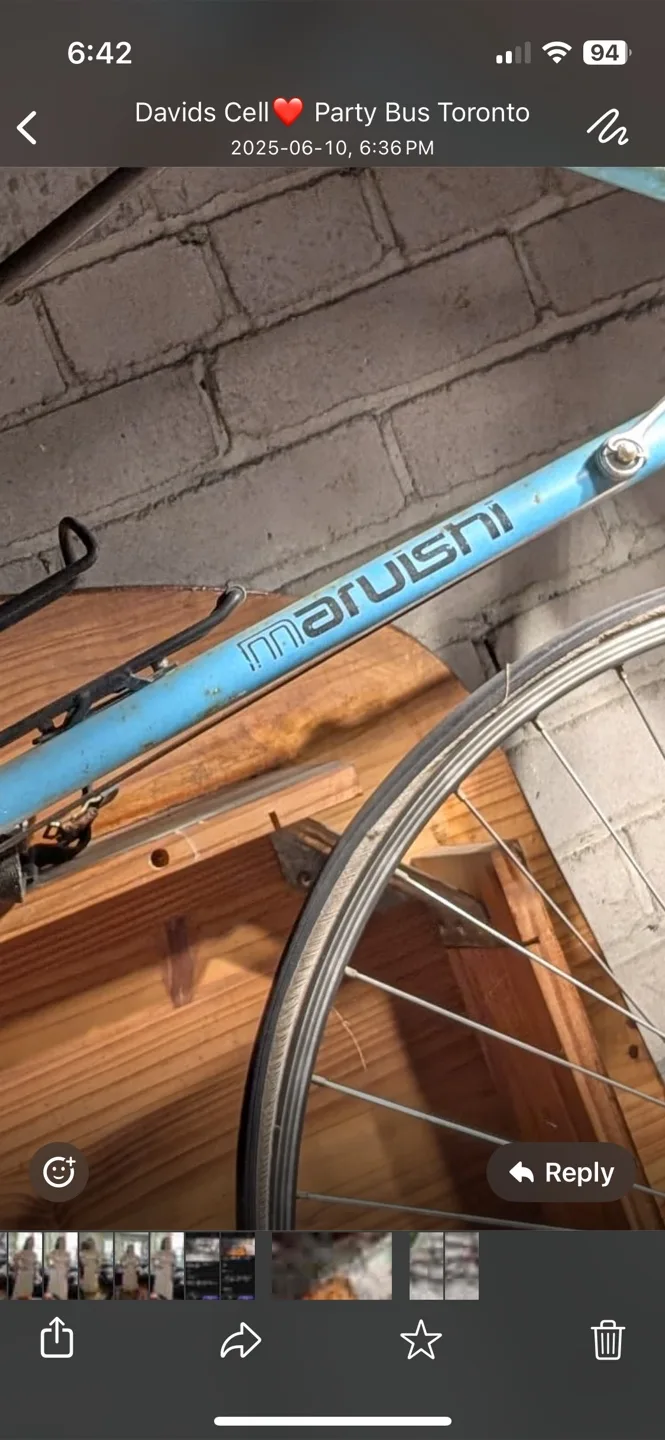 Maruishi Road Bike image indicator(2)