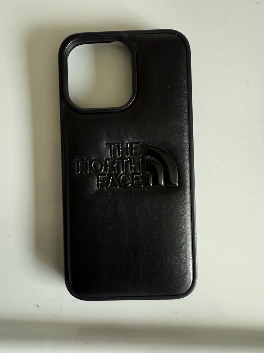 13 pro The North Face Phone Case