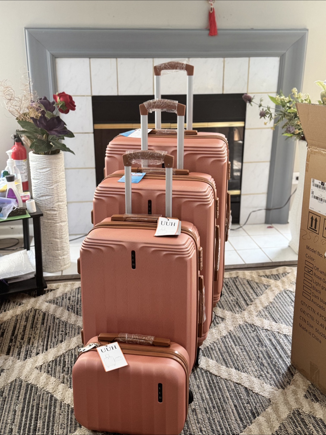 4-Piece Luggage Set TSA Locks Spinner Wheels