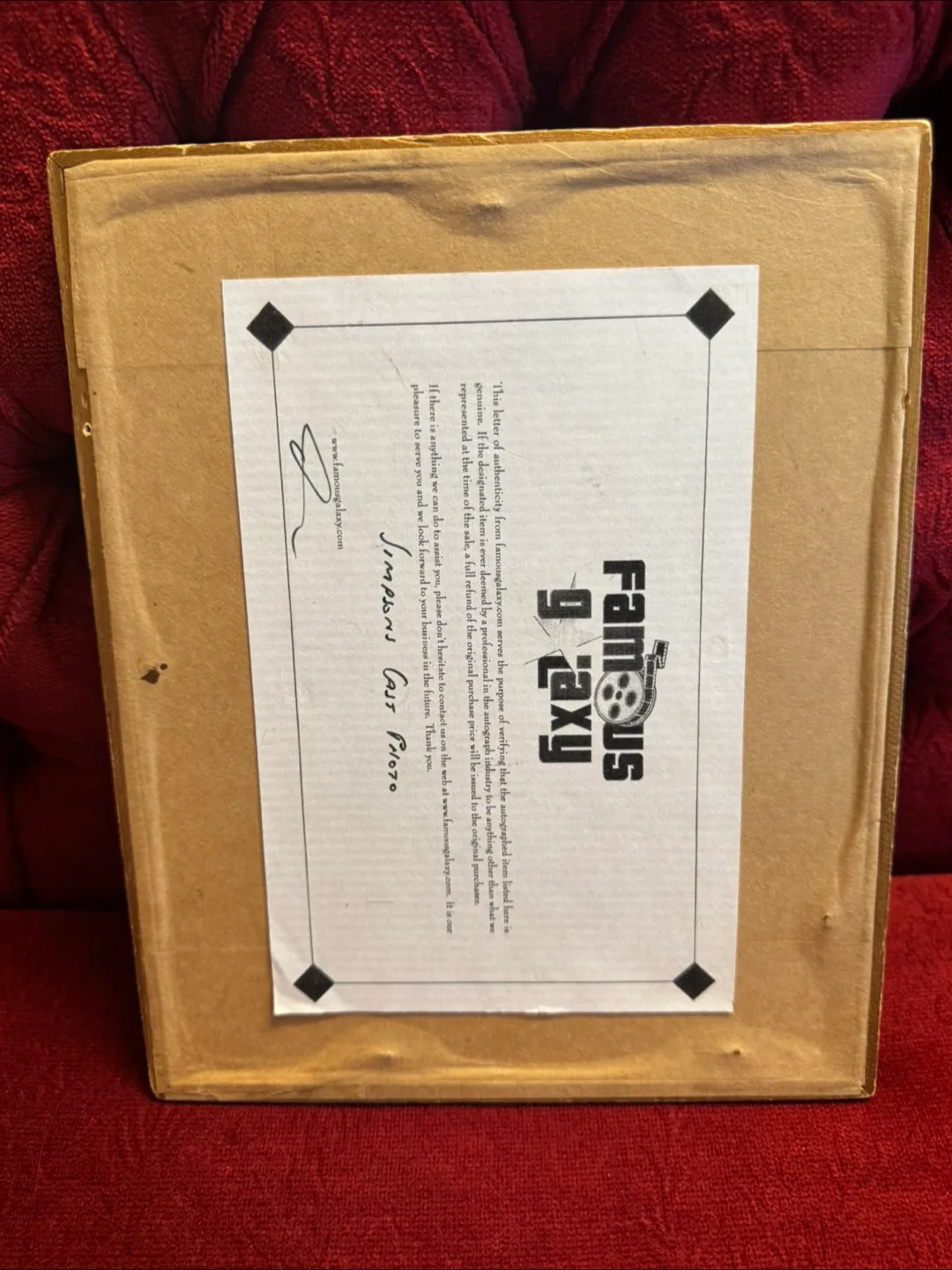 Framed Simpsons Cast Photo image indicator(2)