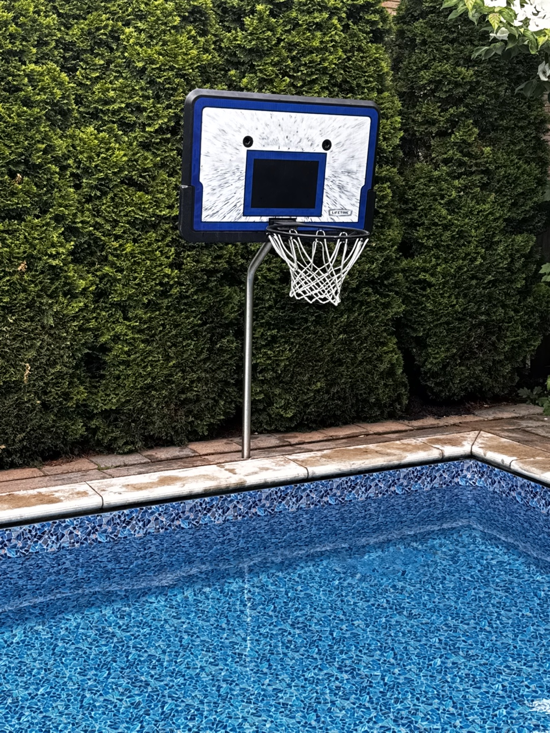 Lifetime Poolside Basketball Hoop