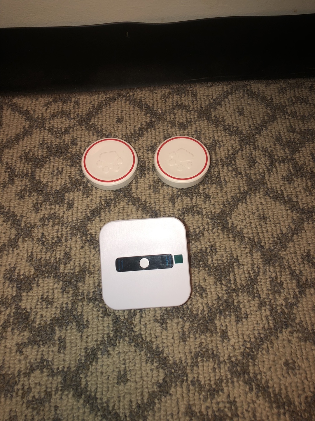 Potty training doorbell - photo 5