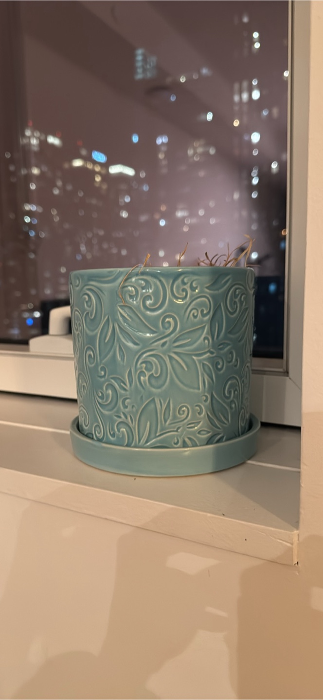 Ceramic planter with a saucer