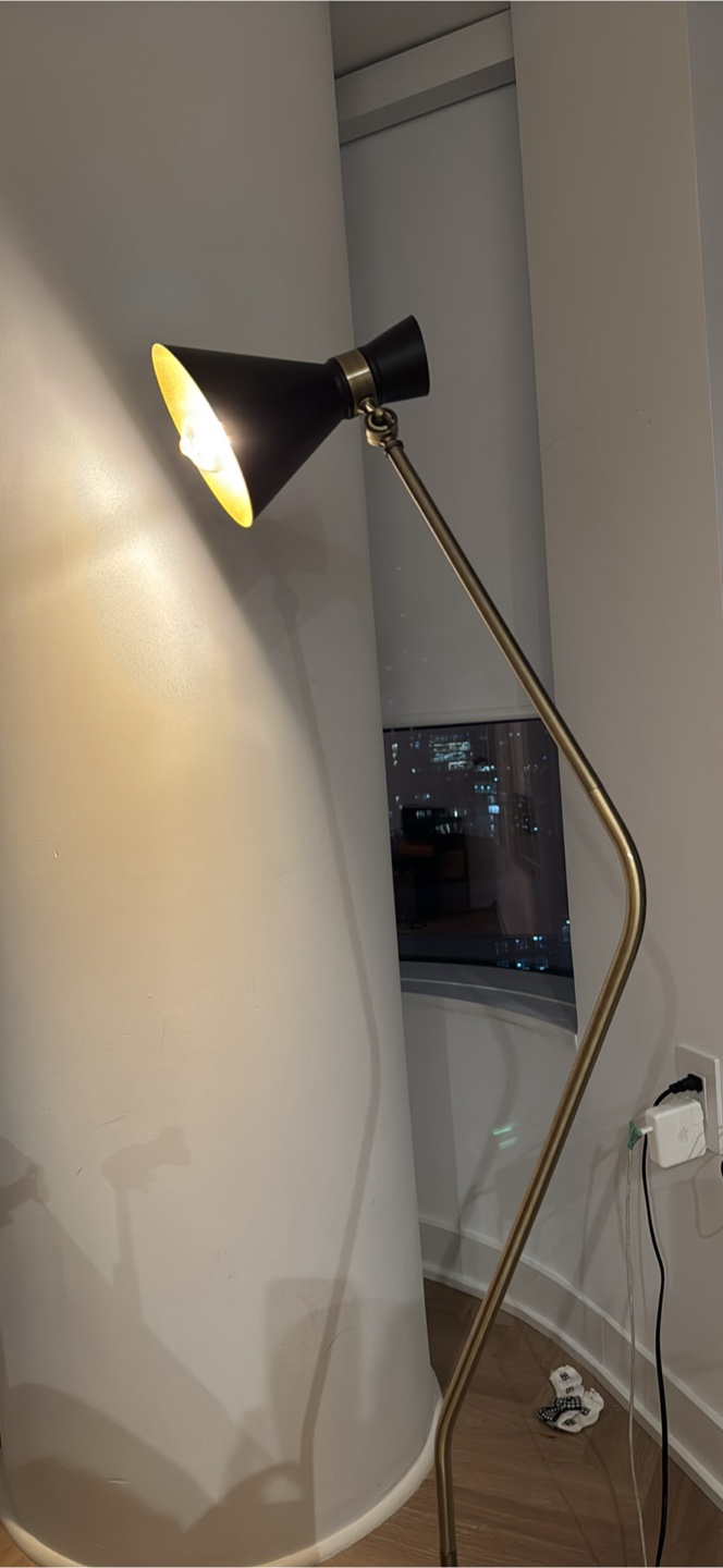 Modern Floor Lamp