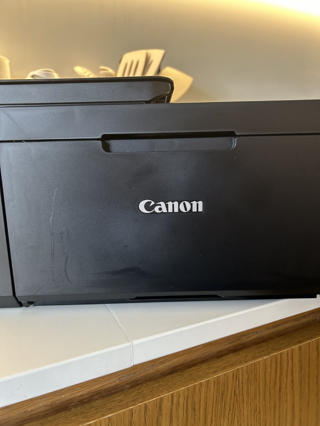Canon Printer - photo 3