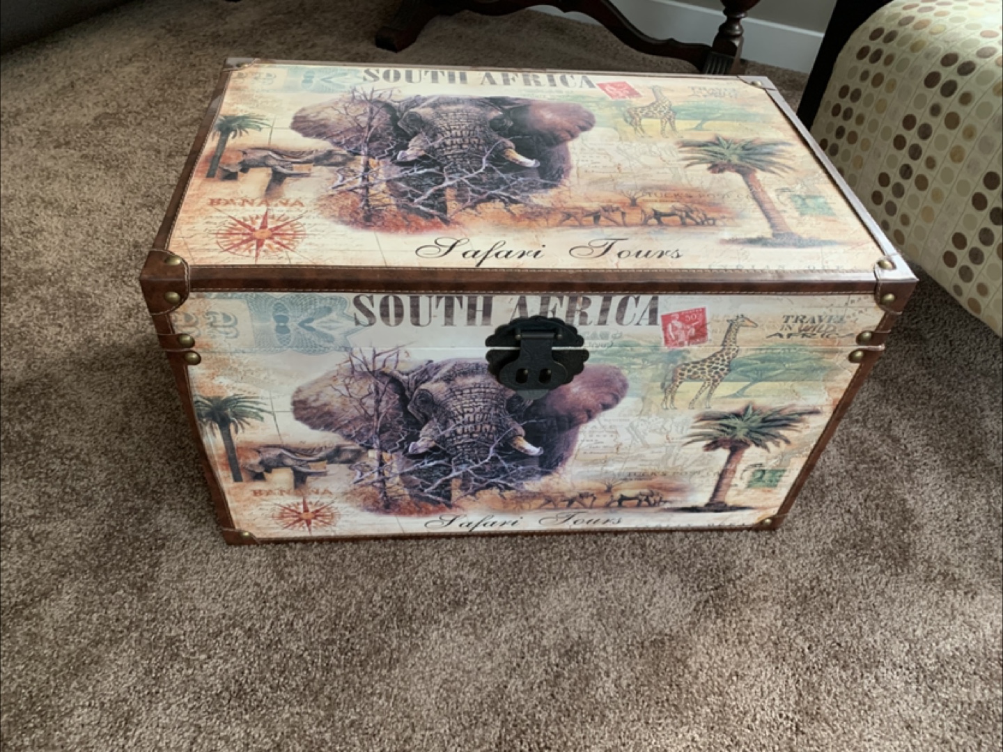 Safari Themed Trunk