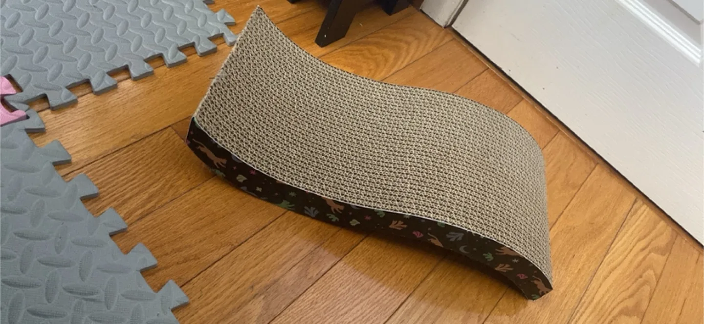 cat scratcher image indicator(2)