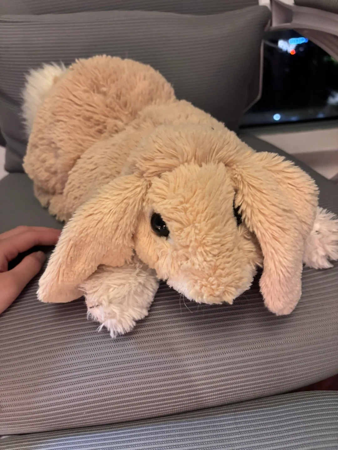 Folkmanis Puppets Floppy Bunny Rabbit Hand Puppet image indicator(3)