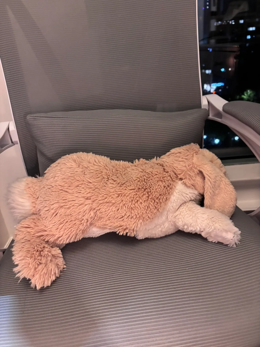 Folkmanis Puppets Floppy Bunny Rabbit Hand Puppet image indicator(2)