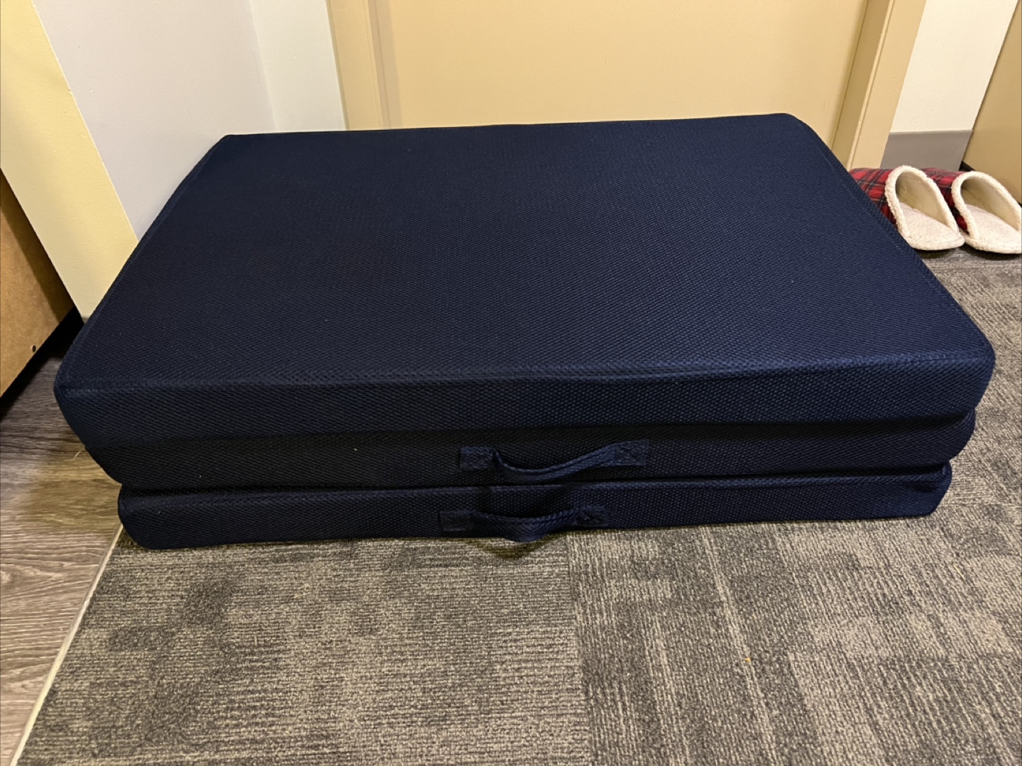 Multi-Purpose Foldable Mattress