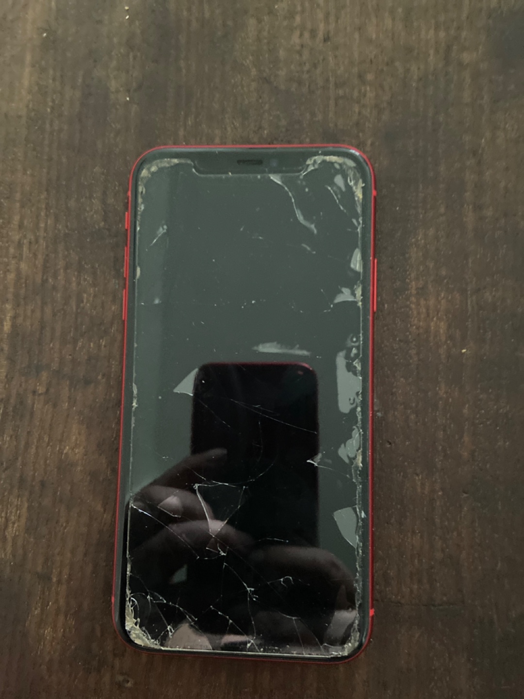 iPhone 11-2019 - photo 2
