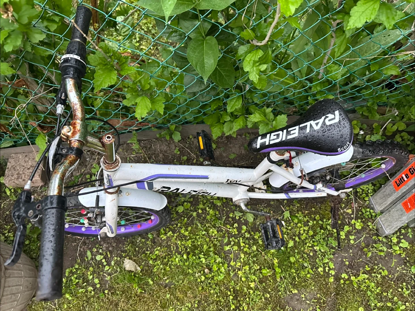 Raleigh Ivy Kids' Bike image indicator(2)