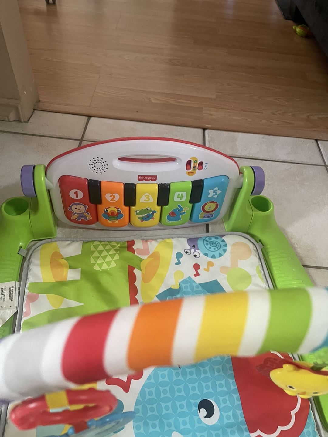Fisher-Price Baby Play Gym