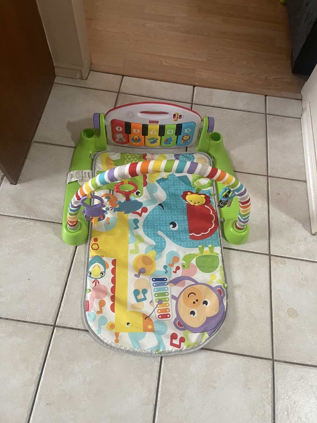 Fisher-Price Baby Play Gym - photo 3