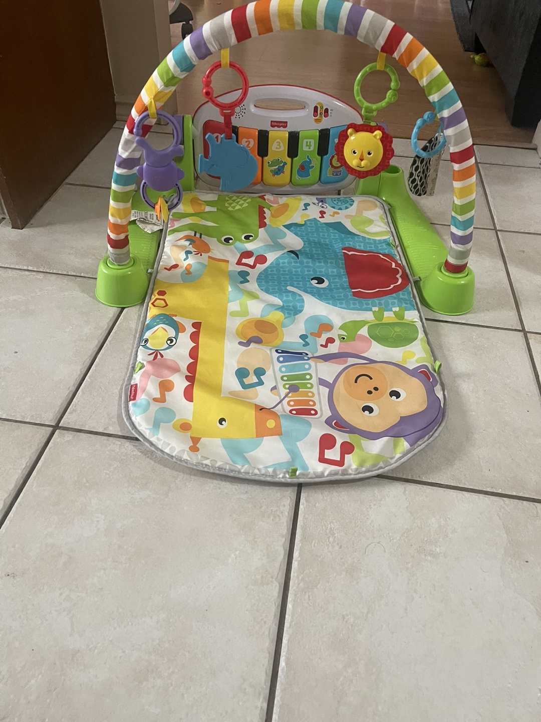 Fisher-Price Baby Play Gym - photo 2