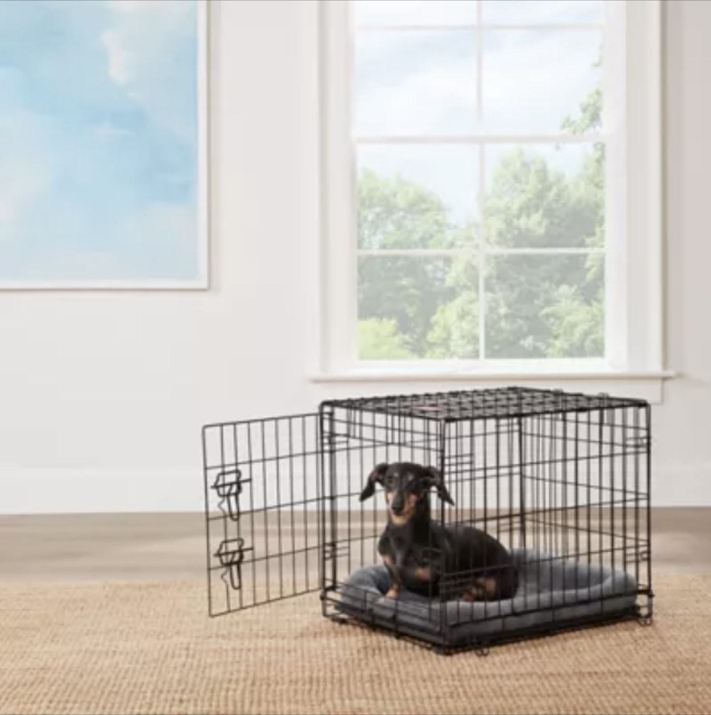 Top Paw 24” folding crate