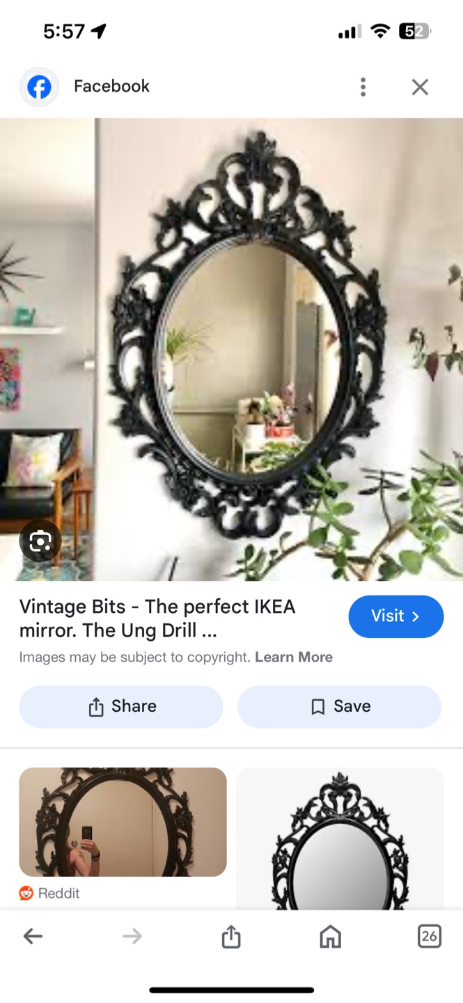 Ornate Black Mirror - photo 2
