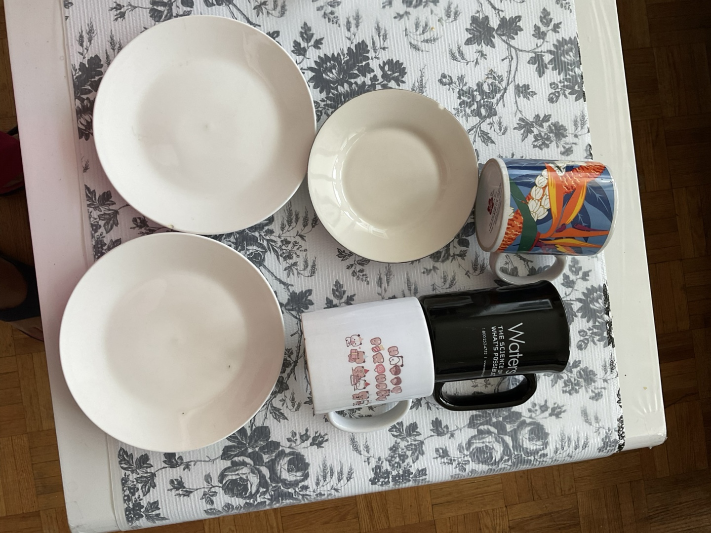 Dinnerware Set - Plates and Mugs