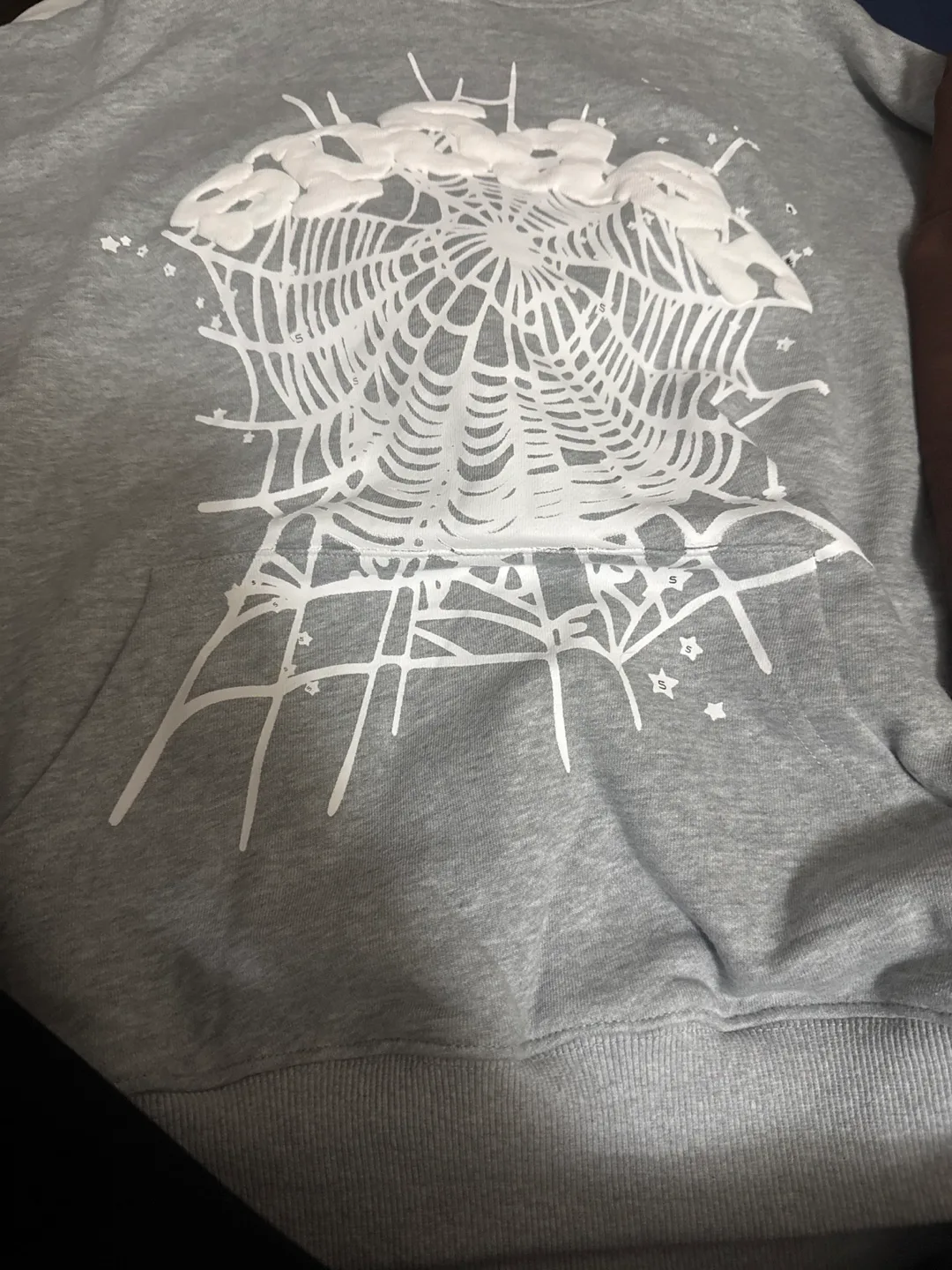 Spider Web Graphic Hoodie