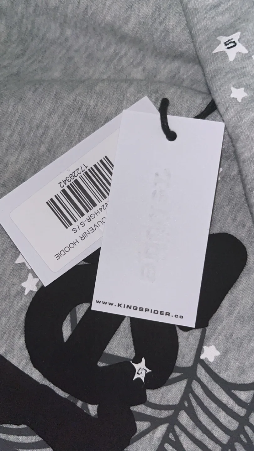 Spider Hoodie - Heather Grey Souvenir image indicator(2)