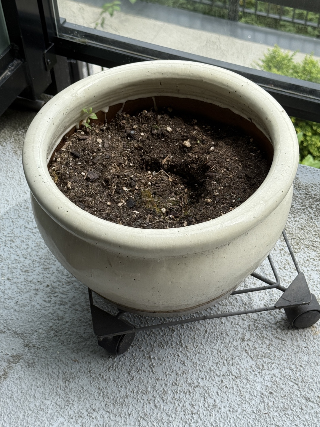 Cream-Coloured Planter Pot x3