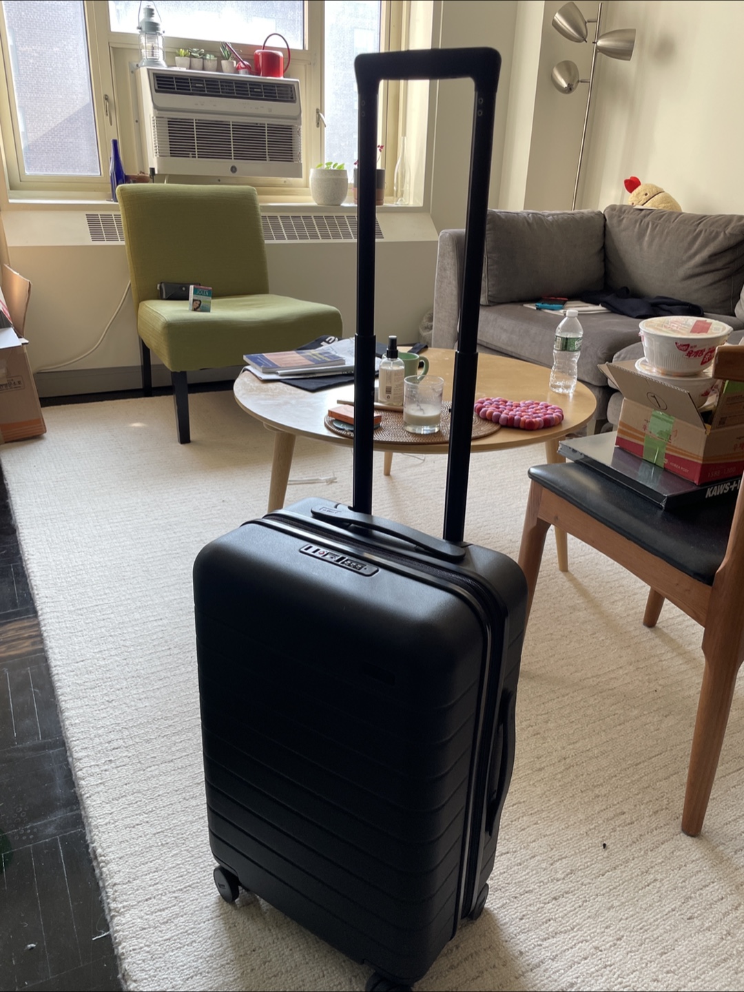 Away Carryon Flex Black Rolling Suitcase with TSA Lock