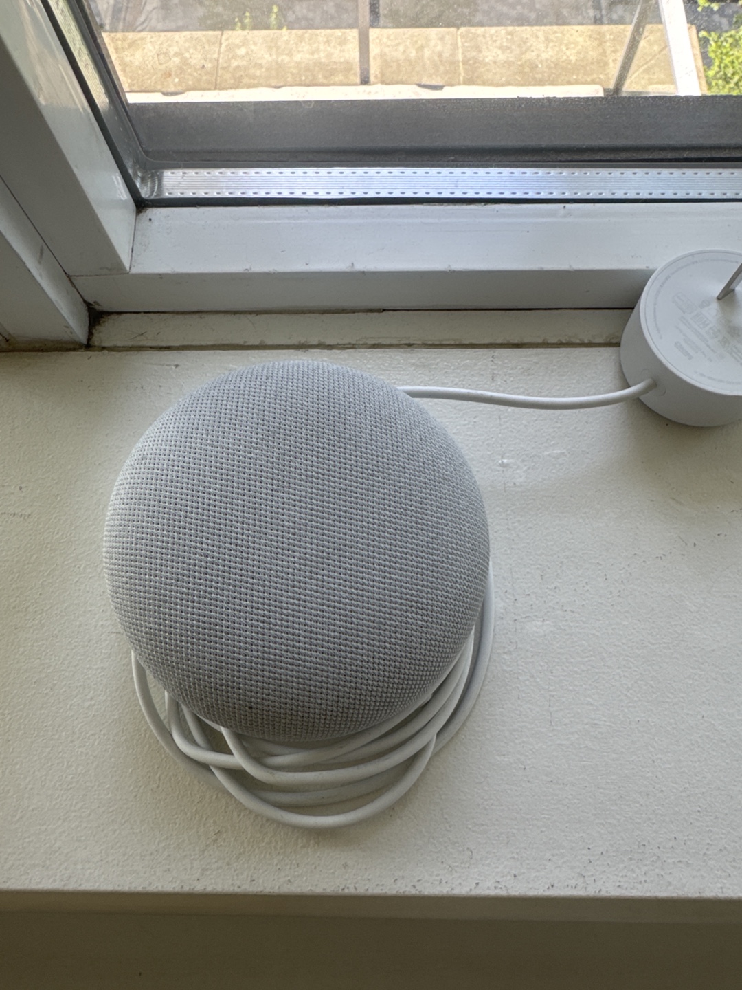 google home