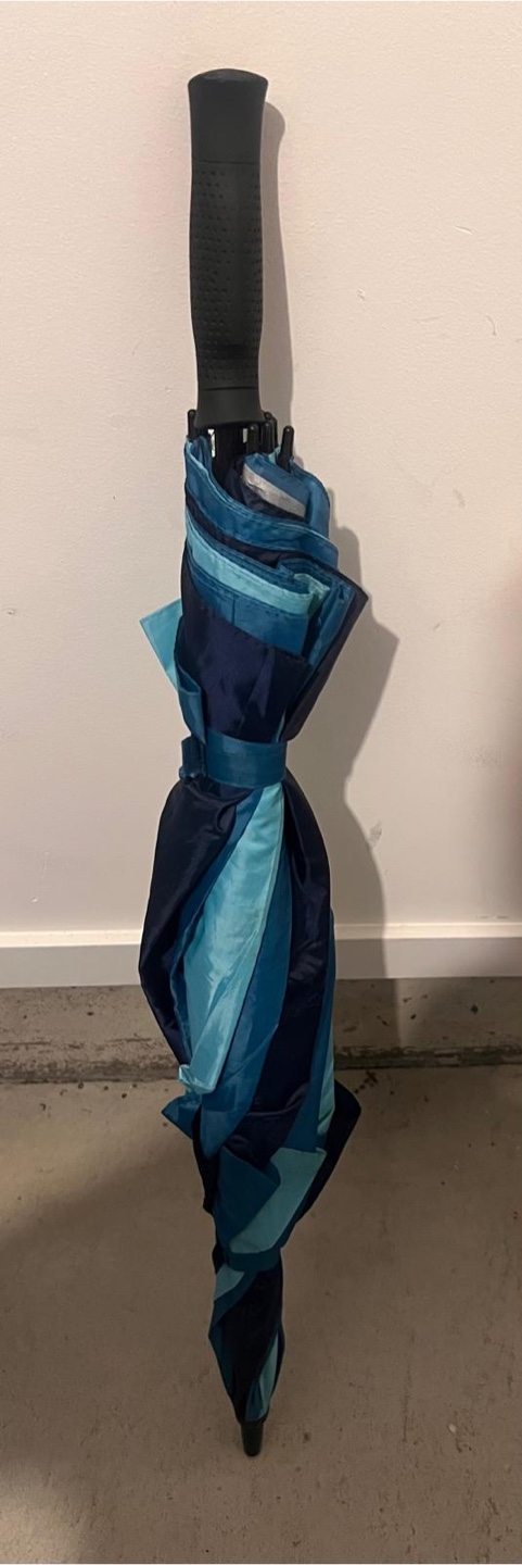 Blue Striped Umbrella