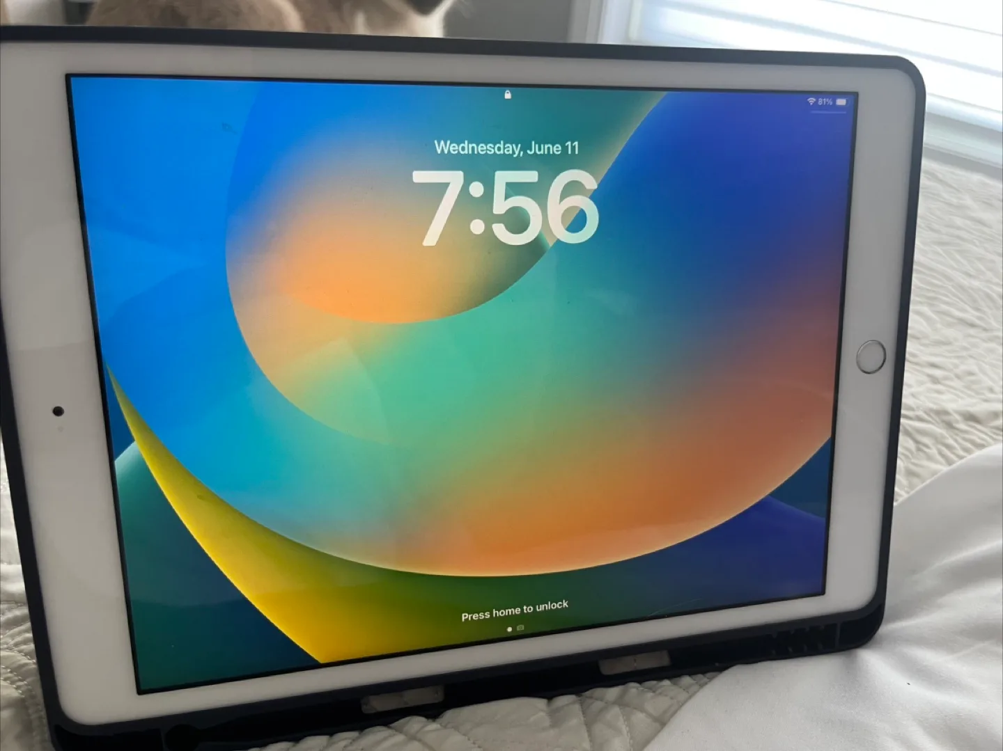 iPad (7th generation) thumbnail