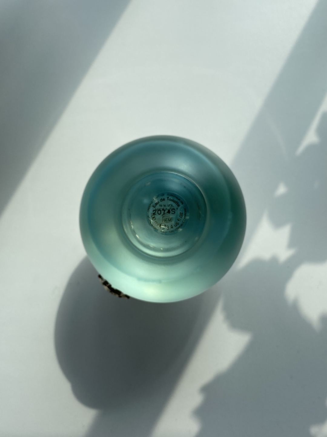 Versace Dylan Turquoise Eau de Toilette 100ml - photo 3