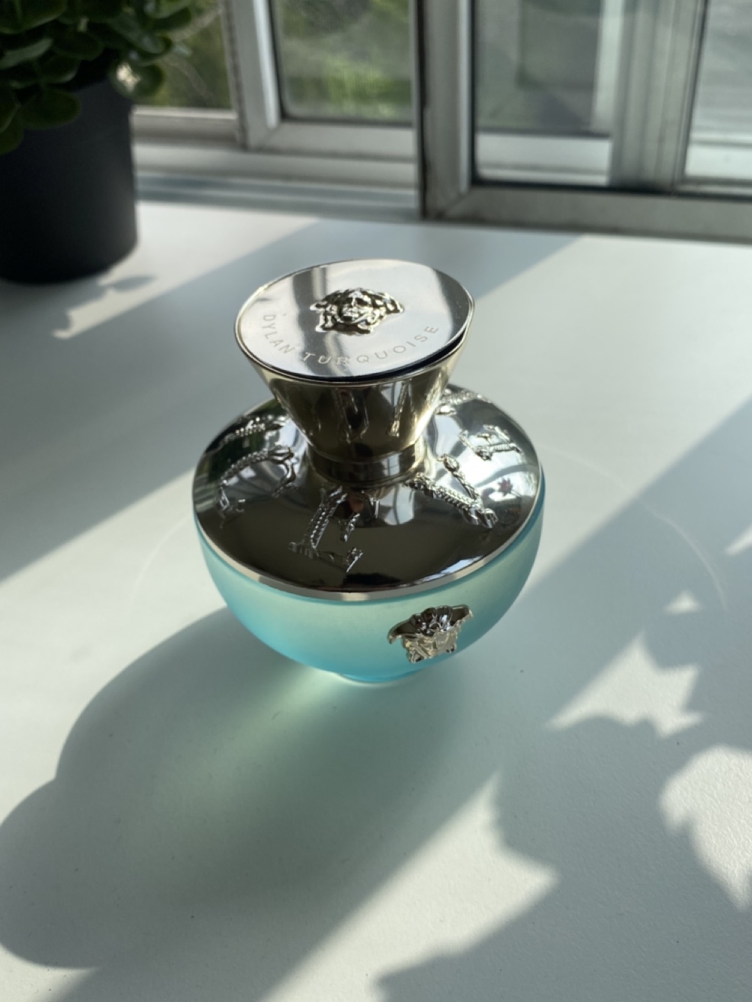 Versace Dylan Turquoise Eau de Toilette 100ml