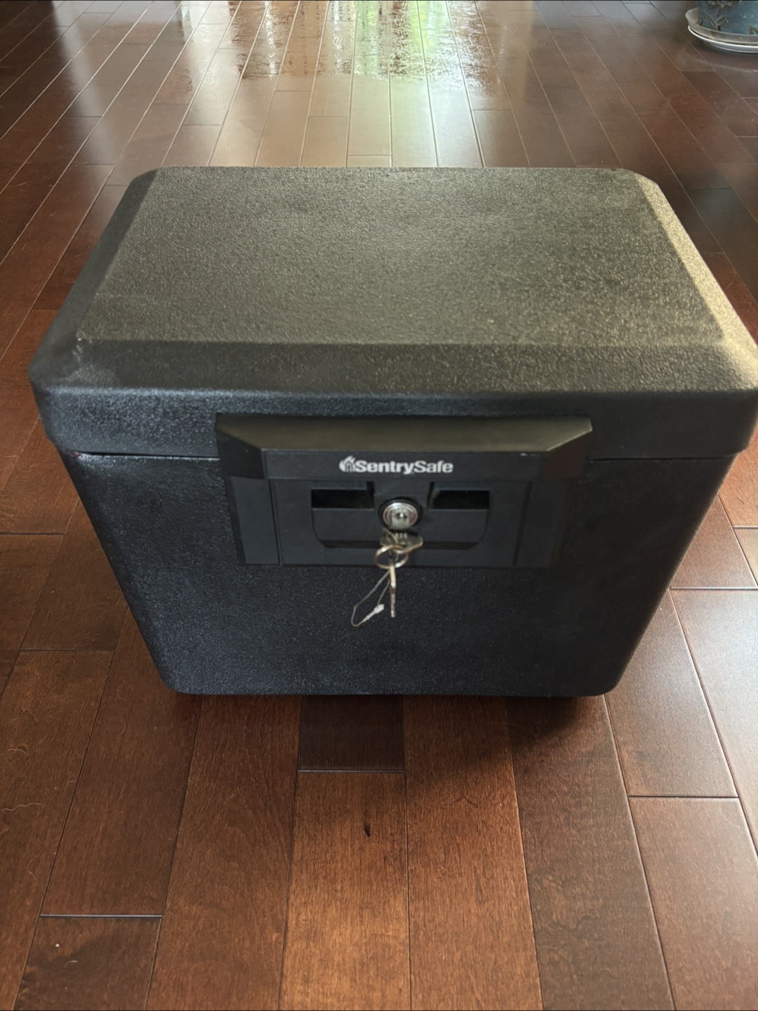 SentrySafe Box with Key
