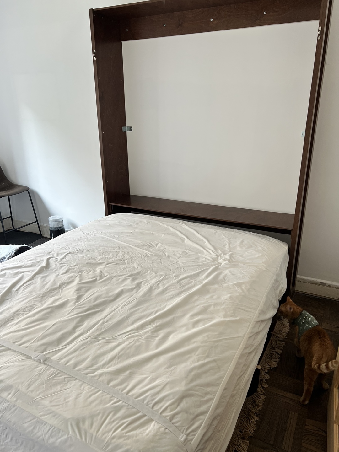 Murphy Bed & Matress
