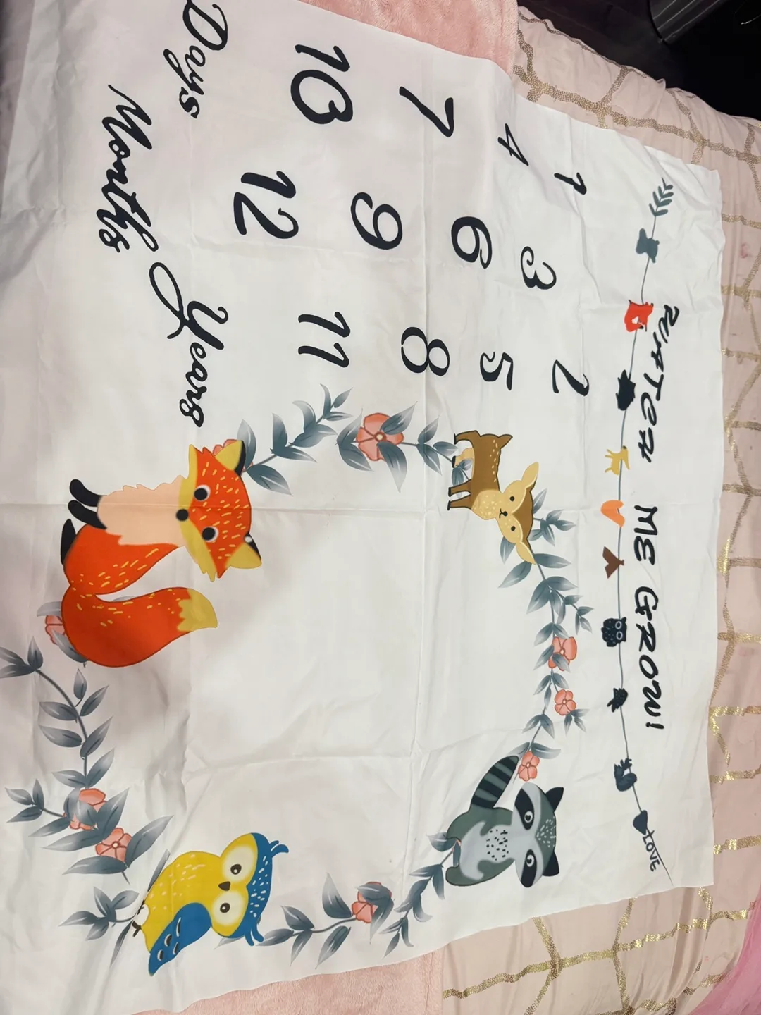 Baby Milestone Blanket thumbnail