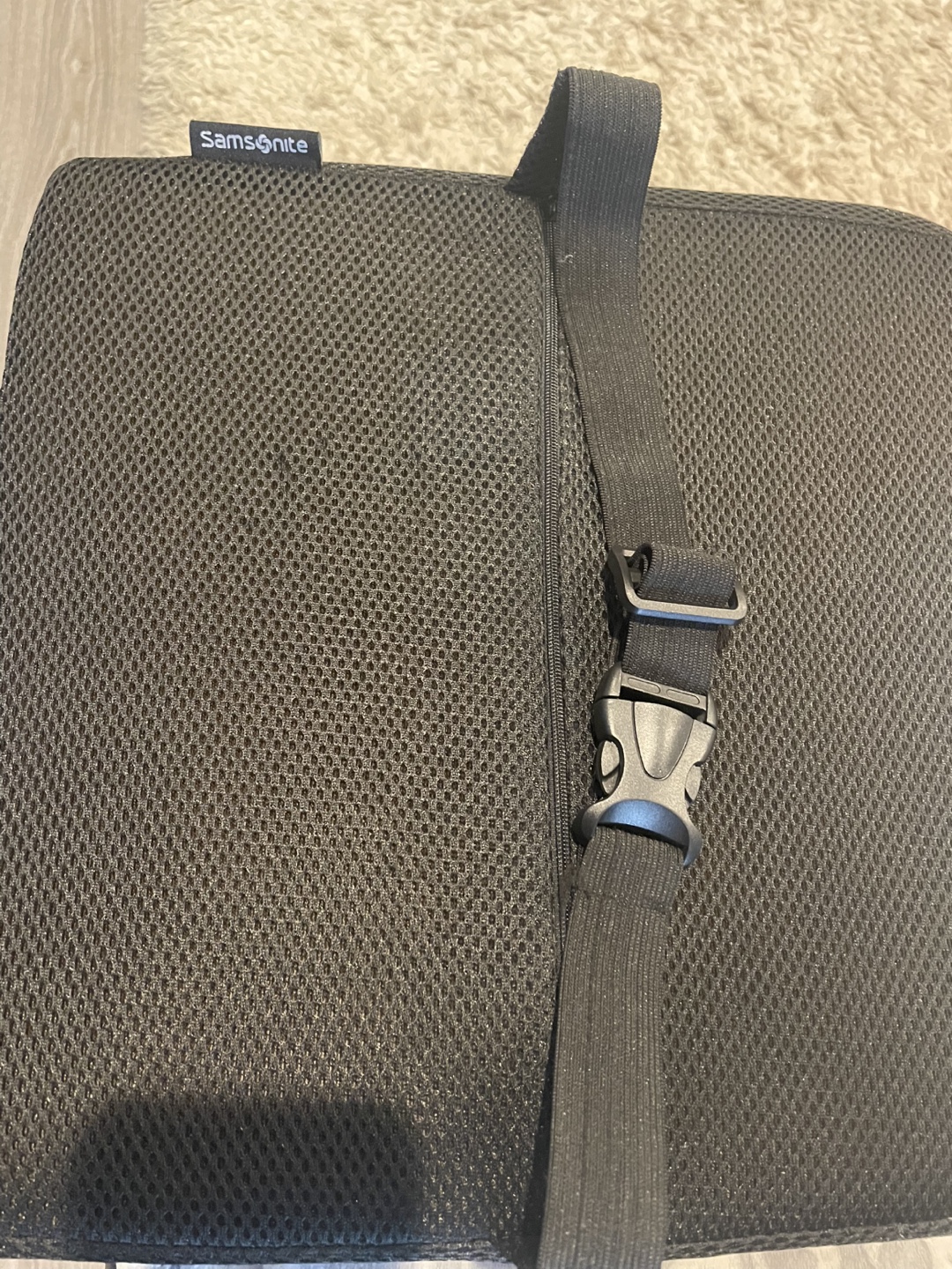 Samsonite Lumbar Support Pillow - photo 3